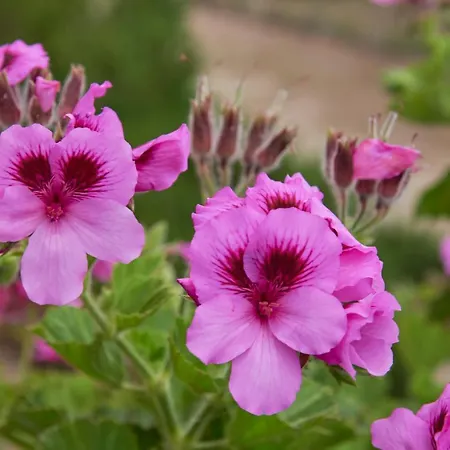 2br With Swimming Pool, By Timecooler